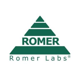 Logo RomerLabs v2